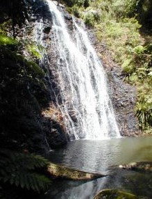 Binna Burra Mountain Lodge - Accommodation Great Ocean Road 0