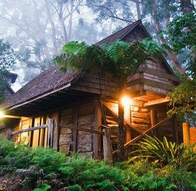 Binna Burra Mountain Lodge - Accommodation Great Ocean Road 2