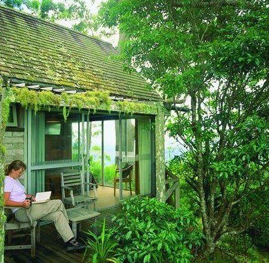 Binna Burra Mountain Lodge - Accommodation Great Ocean Road 3