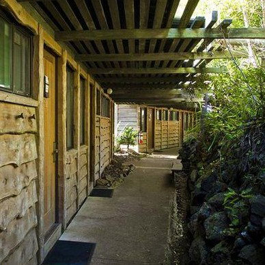 Binna Burra Mountain Lodge - Accommodation Great Ocean Road 4