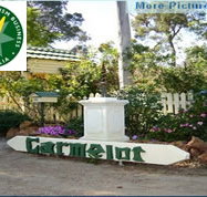 Carmelot Bed  Breakfast - Accommodation Great Ocean Road