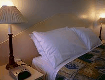 The Ambassador Motor Inn - Accommodation Great Ocean Road 2