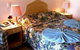 The Gold Sovereign Motor Inn - thumb 3