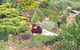 Chesleigh Homestead - thumb 1