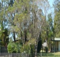 Nimbin Backpackers at Grannys Farm - Accommodation Great Ocean Road