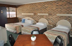 Castle Motor Lodge - Accommodation Great Ocean Road 3