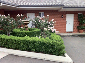 Akuna Motor Inn - Accommodation Great Ocean Road 4