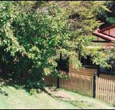 Apple Tree Cottage - Accommodation Great Ocean Road