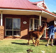 Brilea Cottages - Accommodation Great Ocean Road