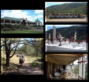 Bestbrook Mountain Resort - Accommodation Great Ocean Road 1