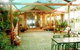 Maison De St Claire - thumb 1