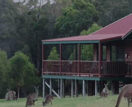 Walpole WA Accommodation Great Ocean Road