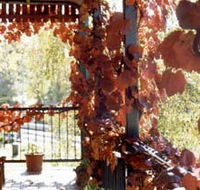 The Vines Motel amp Cottages - Accommodation Great Ocean Road