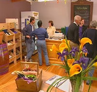 Settlers Ridge Organic Wines - Accommodation Great Ocean Road