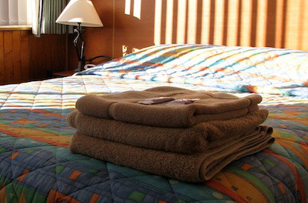 Mount Lyell Motor Inn - Accommodation Great Ocean Road 2