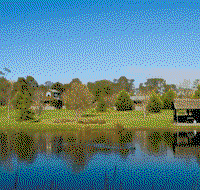 Sanctuary Park Cottages - Accommodation Great Ocean Road