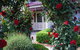 Bed And Breakfast At Stephanie's - thumb 0