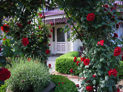 Bed And Breakfast At Stephanie's - Accommodation Great Ocean Road 0