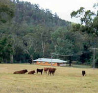 Shute Hill Country Retreat - Accommodation Great Ocean Road