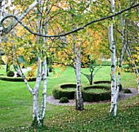 Villarett Gardens - Accommodation Great Ocean Road