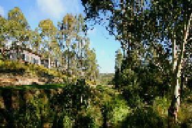 Rossarden TAS Accommodation Great Ocean Road