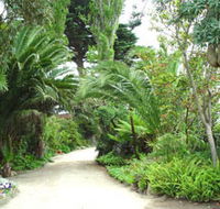 Seacove On The Beach - Accommodation Great Ocean Road