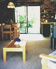 Falls Forest Retreat - Accommodation Great Ocean Road 0