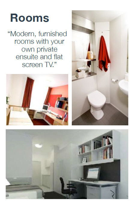 Havannah Accommodation - Accommodation Great Ocean Road 1
