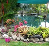 Daintree Wild Bed And Breakfast - Accommodation Great Ocean Road