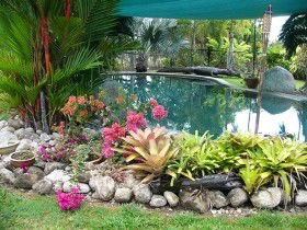 Daintree Wild Bed And Breakfast - Accommodation Great Ocean Road 0
