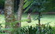 Solitude - thumb 1