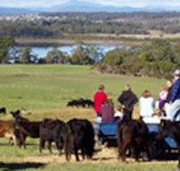 Bonny Brae - Accommodation Great Ocean Road