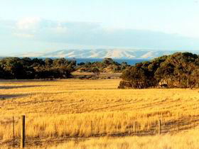 The Kona - Accommodation Great Ocean Road 0