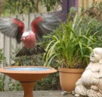 Wattle Court  Retreat - Accommodation Great Ocean Road