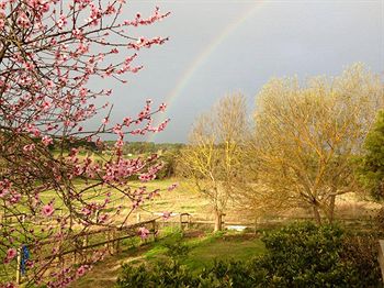 Australian Home Away @ Wonga Park Brushy Creek - Accommodation Great Ocean Road 9