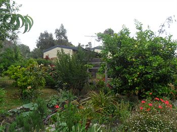 Australian Home Away @ Wonga Park Brushy Creek - Accommodation Great Ocean Road 14