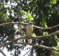 Sunshine Valley Cottages - Accommodation Great Ocean Road