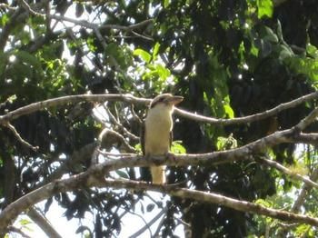 Sunshine Valley Cottages - Accommodation Great Ocean Road 0