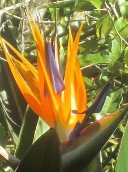 Sunshine Valley Cottages - Accommodation Great Ocean Road 1