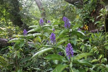 Sunshine Valley Cottages - Accommodation Great Ocean Road 7