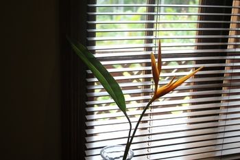 Sunshine Valley Cottages - Accommodation Great Ocean Road 14