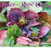 A Winter-rose Cottage BampB - Accommodation Great Ocean Road