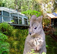 Huon Bush Retreats - Accommodation Great Ocean Road
