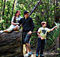 Tahune Airwalk Lodge - Accommodation Great Ocean Road