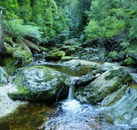 Tarkine Wilderness Experience at Corinna - Accommodation Great Ocean Road