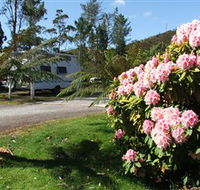 Zeehan Bush Camp  and Caravan Park - Accommodation Great Ocean Road