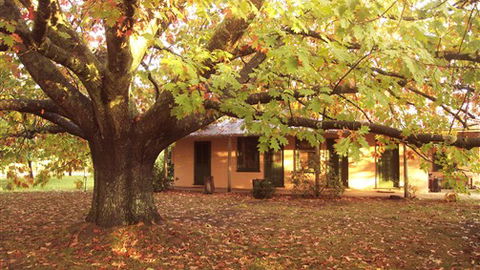 Delatite Station - Accommodation Great Ocean Road 3