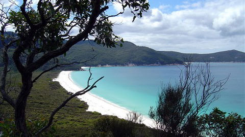 Sabrelyn Park - Accommodation Great Ocean Road 6