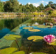 Planetrees Estate  - Accommodation Great Ocean Road