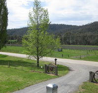 Glenmore Springs Accommodation - Accommodation Great Ocean Road